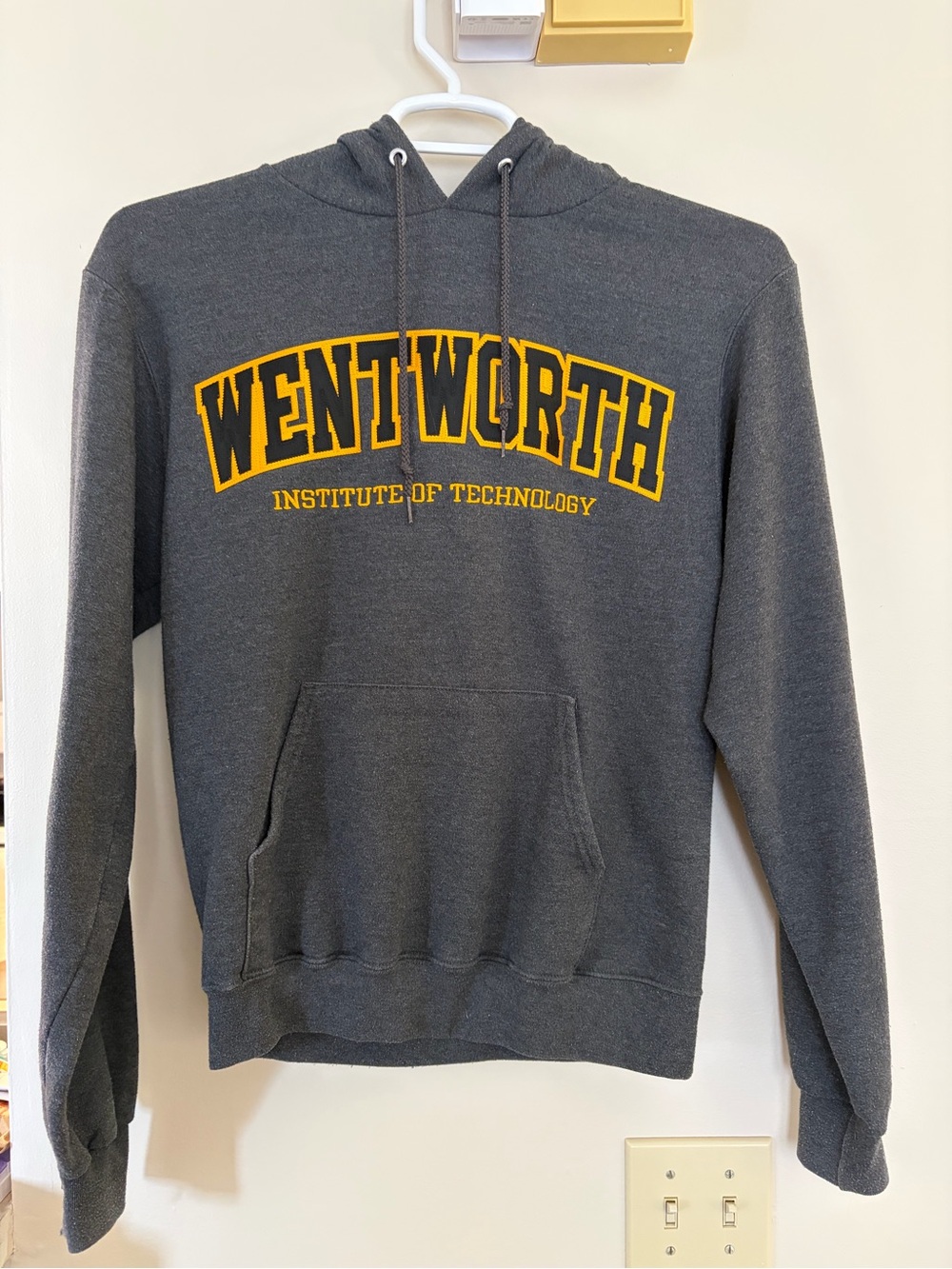 Champion Wentworth Institute of Technology Gray Pullover Hoodie